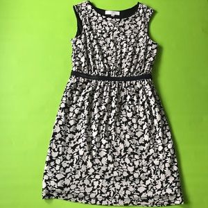 Loft black and cream dress